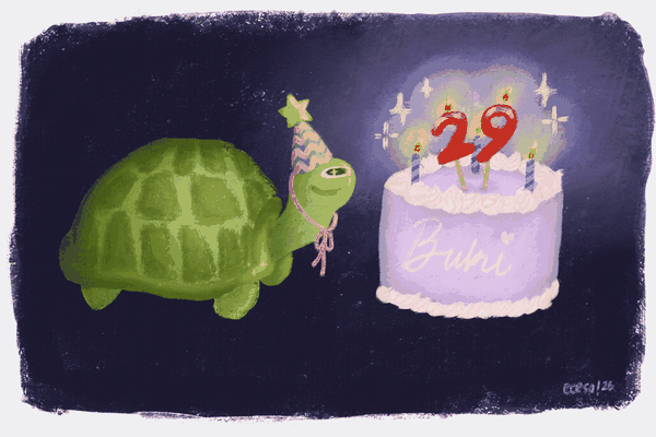Animated illustration of a turtle wearing a party hat next to a birthday cake